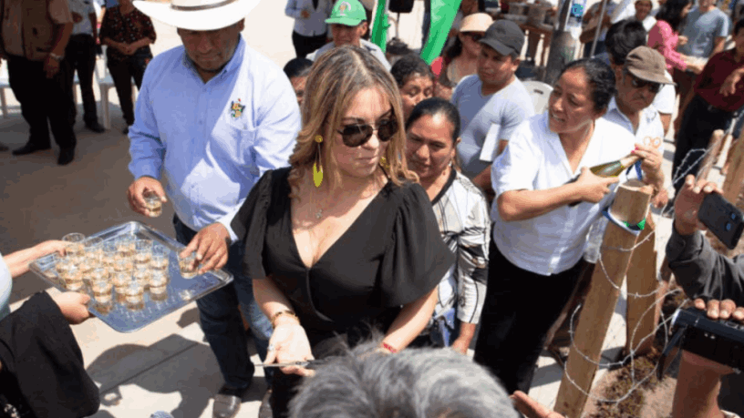 Proyectos de Impacto